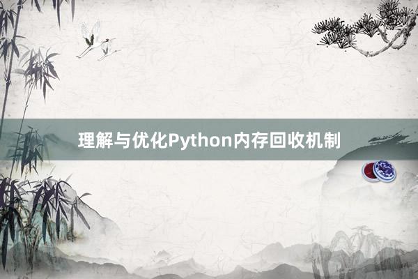 理解与优化Python内存回收机制